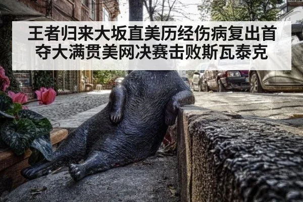 王者归来大坂直美历经伤病复出首夺大满贯美网决赛击败斯瓦泰克